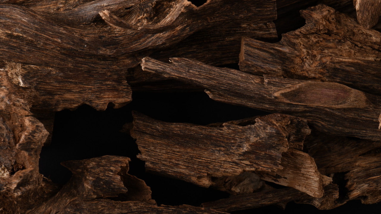 How Oud Conquered Global Perfumery