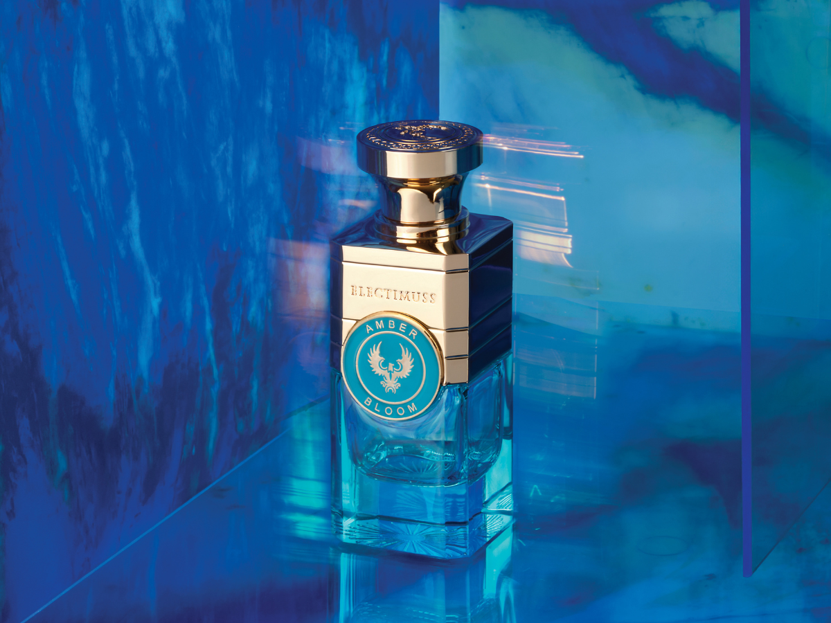 Explorer Collection from Electimuss