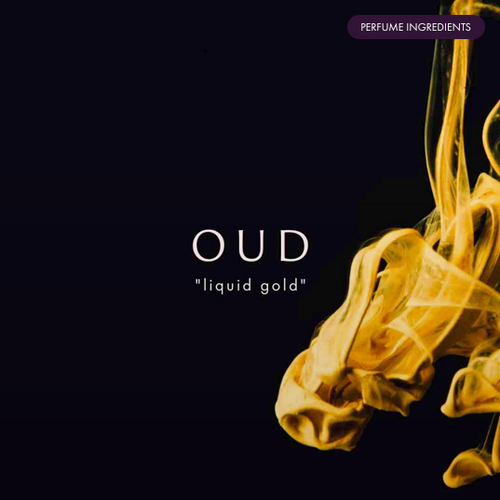 The Aquilaria Journey Behind Liquid Gold