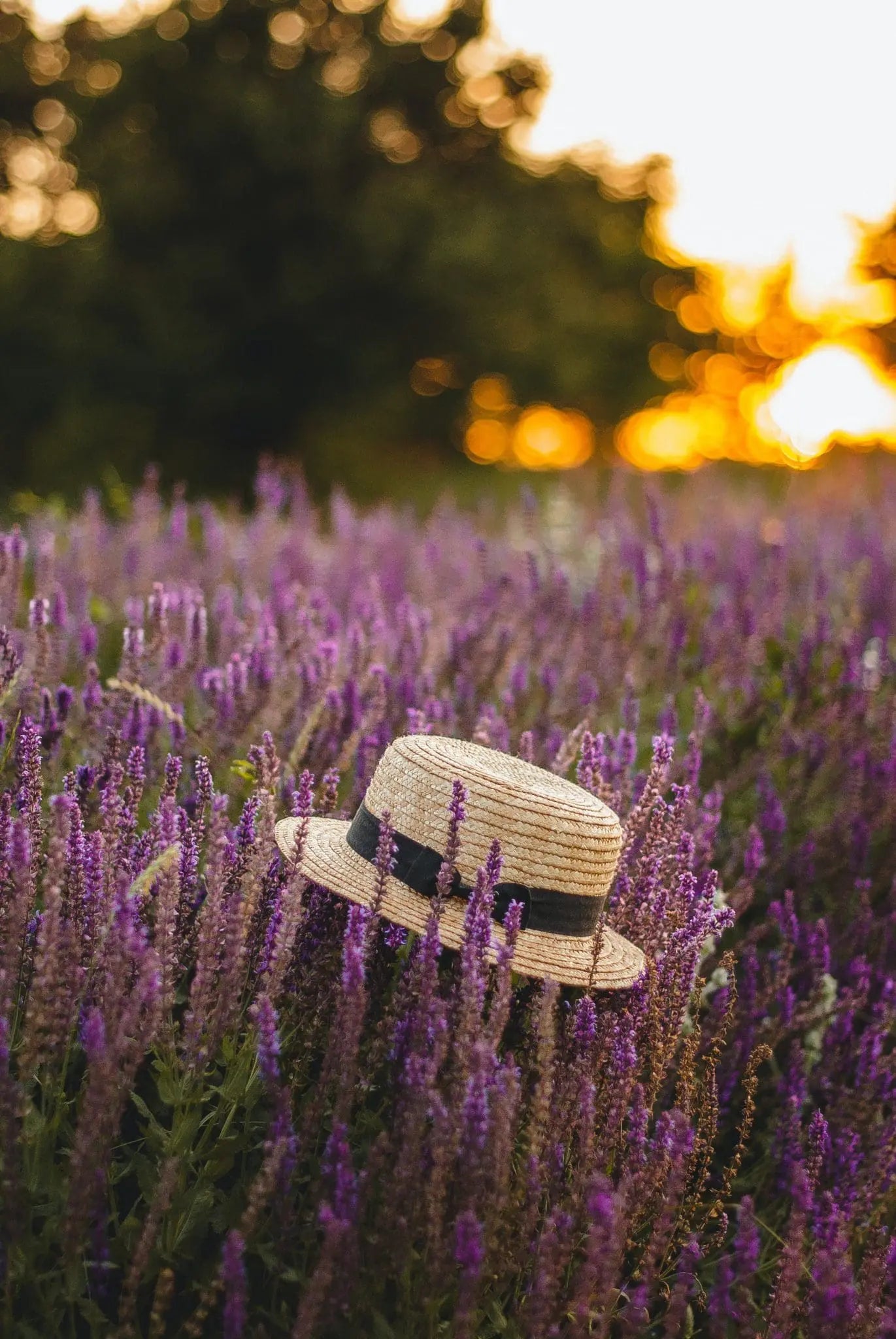 Your Perfect Summer Scent Guide