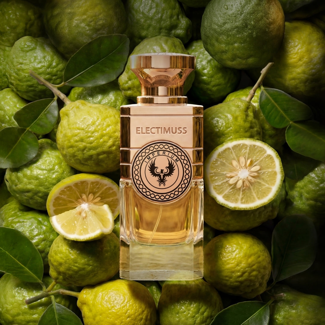 IMPERIUM - 100ml perfume bottle – ELECTIMUSS