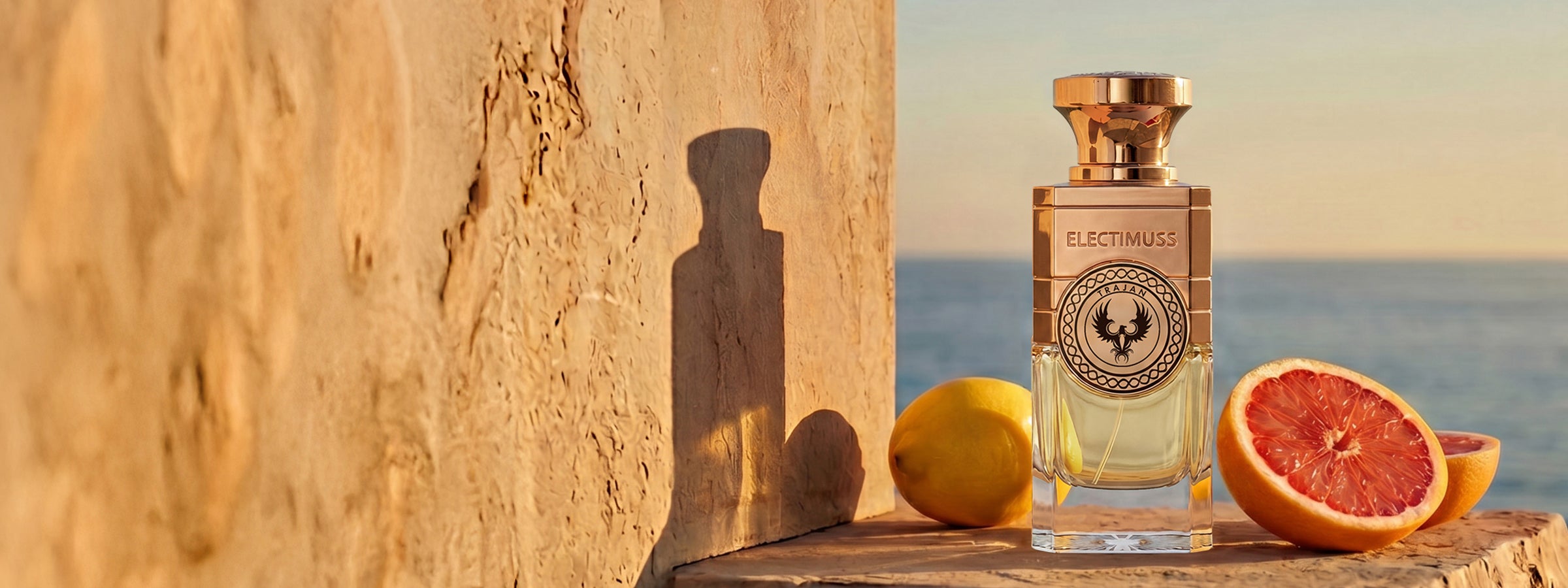 TRAJAN - 100ml perfume bottle – ELECTIMUSS